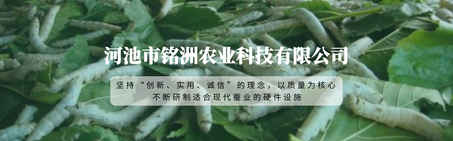 幻燈片廣告二